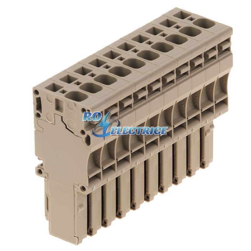 ZP 4/1AN/10; Z-series, WeiCoS, Plug-in connector, Beige, Direct mounting